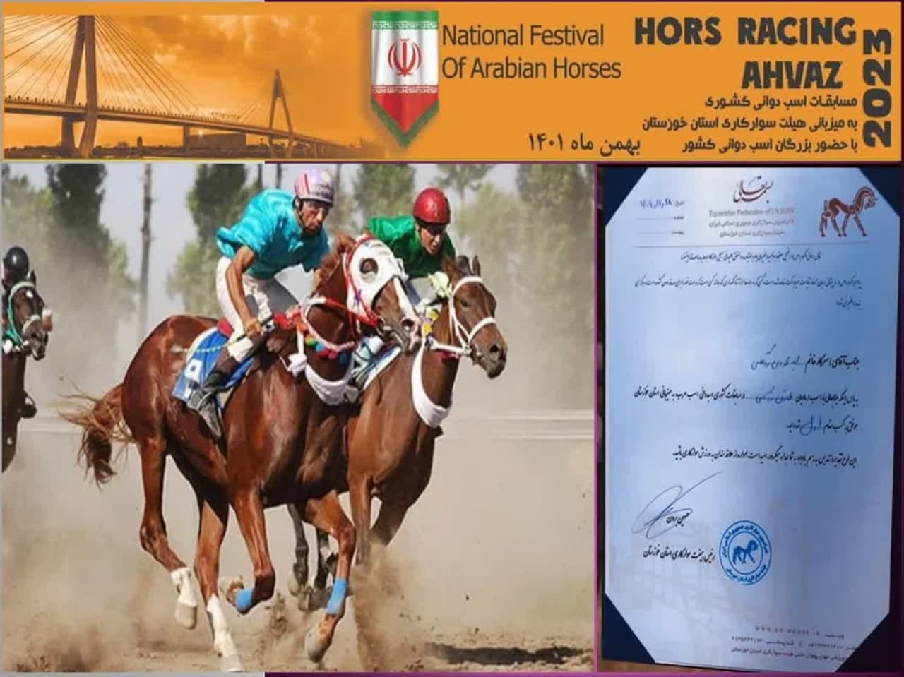 کسب مقام اول مسابقات اسب دوانی کشوری توسط همکار نیروگاه رامین